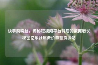快手刷粉丝，揭秘短视频平台背后的数据增长秘密亿乐社区低价自营货源站