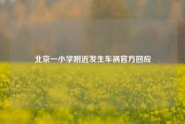 北京一小学附近发生车祸官方回应