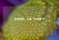 光伏硅料，上演“让子弹飞”