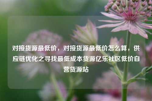 对接货源最低价	，对接货源最低价怎么算，供应链优化之寻找最低成本货源亿乐社区低价自营货源站  第1张