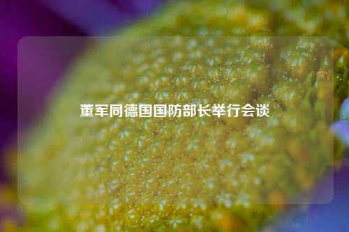 董军同德国国防部长举行会谈  第1张