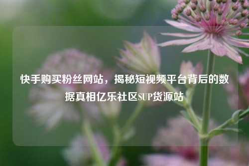 快手购买粉丝网站，揭秘短视频平台背后的数据真相亿乐社区SUP货源站  第1张