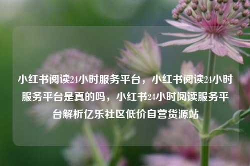 小红书阅读24小时服务平台，小红书阅读24小时服务平台是真的吗，小红书24小时阅读服务平台解析亿乐社区低价自营货源站  第1张
