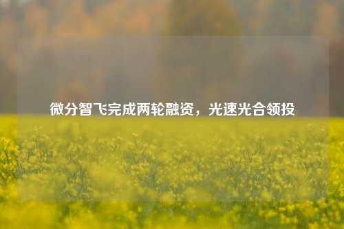 微分智飞完成两轮融资，光速光合领投  第1张
