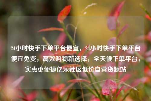 24小时快手下单平台便宜，24小时快手下单平台便宜免费，高效购物新选择	，全天候下单平台，实惠更便捷亿乐社区低价自营货源站  第1张