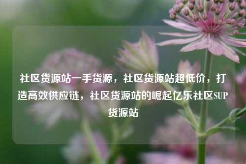 社区货源站一手货源	，社区货源站超低价，打造高效供应链，社区货源站的崛起亿乐社区SUP货源站  第1张