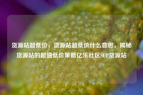 货源站超低价，货源站超低价什么意思	，揭秘货源站的超值低价策略亿乐社区SUP货源站  第1张