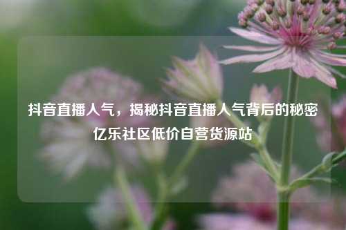 抖音直播人气，揭秘抖音直播人气背后的秘密亿乐社区低价自营货源站  第1张