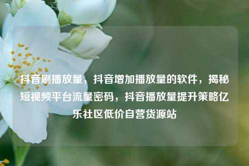 抖音刷播放量，抖音增加播放量的软件，揭秘短视频平台流量密码	，抖音播放量提升策略亿乐社区低价自营货源站  第1张