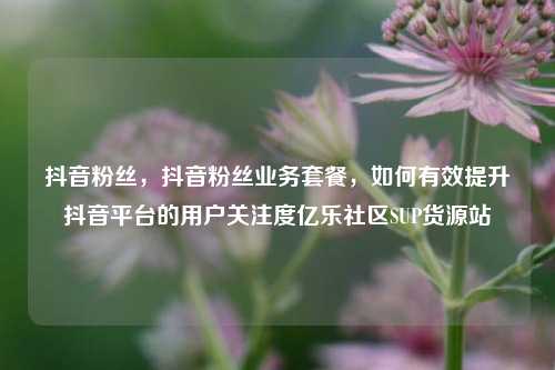抖音粉丝，抖音粉丝业务套餐，如何有效提升抖音平台的用户关注度亿乐社区SUP货源站  第1张