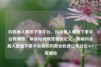 抖音真人播放下单平台，抖音真人播放下单平台有哪些，解锁短视频营销新纪元，揭秘抖音真人直播下单平台背后的商业机遇亿乐社区SUP货源站