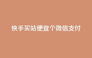 快手买站便宜100个微信支付,ks买赞自助下单下载 - qqc十年沉淀只做精品mba智库 - 免费领取的说说
