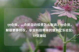 QQ会员，qq会员自动续费怎么取消，QQ会员，解锁更多特权，享受科技带来的便利亿乐社区SUP货源站