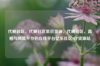 代刷社区，代刷社区低价货源，代刷社区，真相与风险并存的在线平台亿乐社区SUP货源站