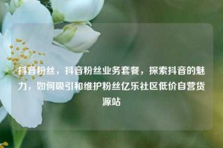 抖音粉丝，抖音粉丝业务套餐，探索抖音的魅力，如何吸引和维护粉丝亿乐社区低价自营货源站
