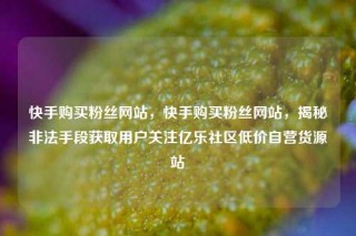 快手购买粉丝网站，快手购买粉丝网站，揭秘非法手段获取用户关注亿乐社区低价自营货源站