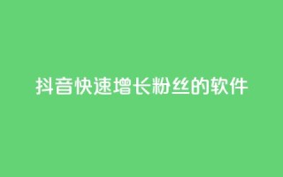 抖音快速增长粉丝的软件,ks什么买赞 - 抖音业务下单24小时最低价 - 快手免费业务平台