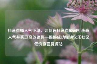 抖音直播人气下单，如何在抖音直播间打造高人气并实现高效销售—揭秘成功秘诀亿乐社区低价自营货源站