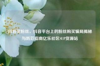 抖音买粉丝，抖音平台上的粉丝购买骗局揭秘与防范指南亿乐社区SUP货源站