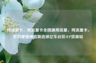 纯流量卡，纯流量卡全国通用流量，纯流量卡，您的便捷通信新选择亿乐社区SUP货源站