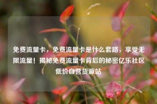 免费流量卡，免费流量卡是什么套路，享受无限流量！揭秘免费流量卡背后的秘密亿乐社区低价自营货源站