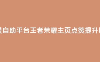 王者荣耀主页赞自助平台 - 王者荣耀主页点赞提升服务专区！