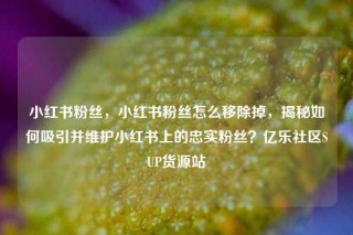 小红书粉丝，小红书粉丝怎么移除掉，揭秘如何吸引并维护小红书上的忠实粉丝？亿乐社区SUP货源站
