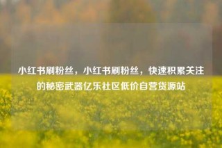小红书刷粉丝，小红书刷粉丝，快速积累关注的秘密武器亿乐社区低价自营货源站
