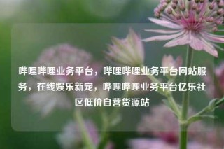 哔哩哔哩业务平台，哔哩哔哩业务平台网站服务，在线娱乐新宠，哔哩哔哩业务平台亿乐社区低价自营货源站
