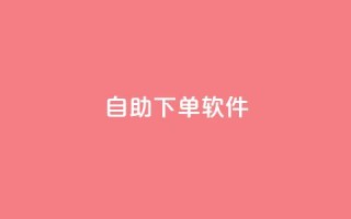 dy自助下单软件,小红书低价赞下单平台 - dy代刷喜喜网络科技 - 快手24小时100赞免费下单