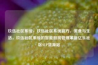 玖伍社区系统，玖伍社区系统官方，美食与生活，玖伍社区系统的智能厨房管理革新亿乐社区SUP货源站