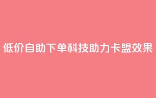 低价自助下单科技助力卡盟SEO效果