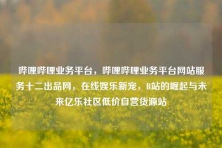 哔哩哔哩业务平台，哔哩哔哩业务平台网站服务十二出品网，在线娱乐新宠，B站的崛起与未来亿乐社区低价自营货源站