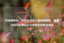 抖音刷粉丝，如何在抖音上高效刷粉丝，策略与技巧分享亿乐社区低价自营货源站