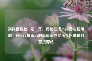买抖音粉丝10元一万，揭秘低成本抖音涨粉策略，10元万粉背后的流量密码亿乐社区低价自营货源站