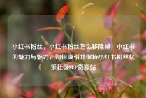 小红书粉丝，小红书粉丝怎么移除掉，小红书的魅力与魅力，如何吸引并保持小红书粉丝亿乐社区SUP货源站