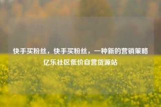 快手买粉丝，快手买粉丝，一种新的营销策略亿乐社区低价自营货源站