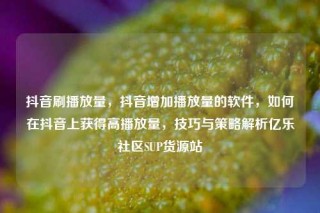 抖音刷播放量，抖音增加播放量的软件，如何在抖音上获得高播放量，技巧与策略解析亿乐社区SUP货源站