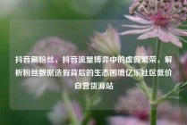 抖音刷粉丝，抖音流量博弈中的虚假繁荣，解析粉丝数据造假背后的生态困境亿乐社区低价自营货源站