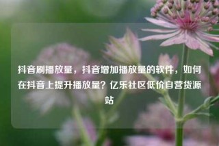 抖音刷播放量，抖音增加播放量的软件，如何在抖音上提升播放量？亿乐社区低价自营货源站