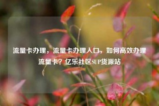 流量卡办理，流量卡办理入口，如何高效办理流量卡？亿乐社区SUP货源站