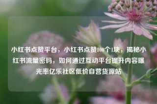 小红书点赞平台，小红书点赞100个1块，揭秘小红书流量密码，如何通过互动平台提升内容曝光率亿乐社区低价自营货源站