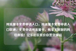 纯流量卡免费申请入口，纯流量卡免费申请入口联通，免费申请纯流量卡，畅享无限制的网络体验！亿乐社区低价自营货源站