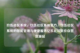 玖伍社区系统，玖伍社区系统官方，玖伍社区系统的智能管理与便捷服务亿乐社区低价自营货源站