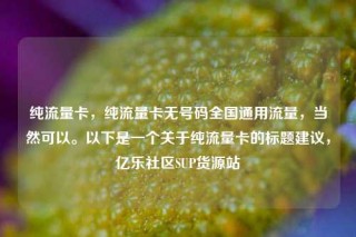 纯流量卡，纯流量卡无号码全国通用流量，当然可以。以下是一个关于纯流量卡的标题建议，亿乐社区SUP货源站