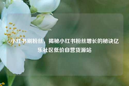 小红书刷粉丝，揭秘小红书粉丝增长的秘诀亿乐社区低价自营货源站  第1张