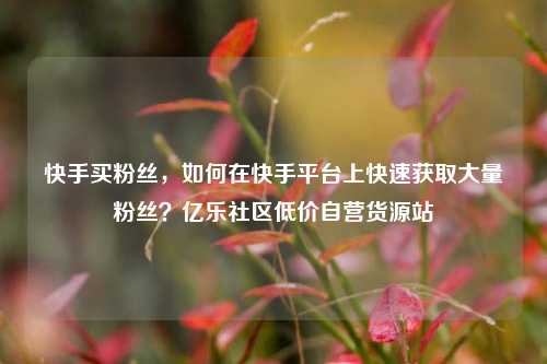 快手买粉丝，如何在快手平台上快速获取大量粉丝？亿乐社区低价自营货源站  第1张