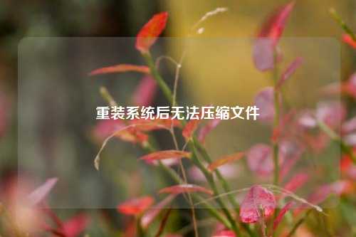 重装系统后无法压缩文件  第1张