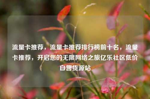 流量卡推荐，流量卡推荐排行榜前十名	，流量卡推荐，开启您的无限网络之旅亿乐社区低价自营货源站  第1张