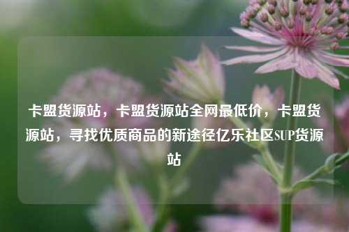 卡盟货源站，卡盟货源站全网最低价	，卡盟货源站，寻找优质商品的新途径亿乐社区SUP货源站  第1张